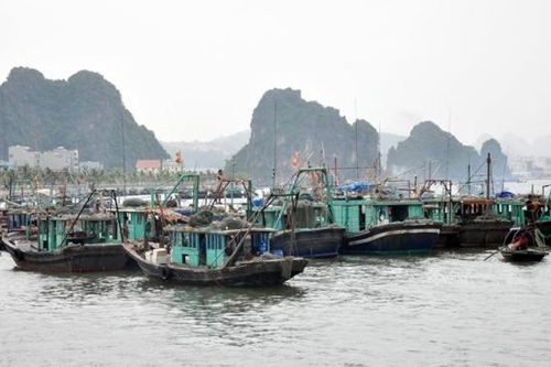 Các địa phương chủ động ứng phó với bão số 1, bão TALIM