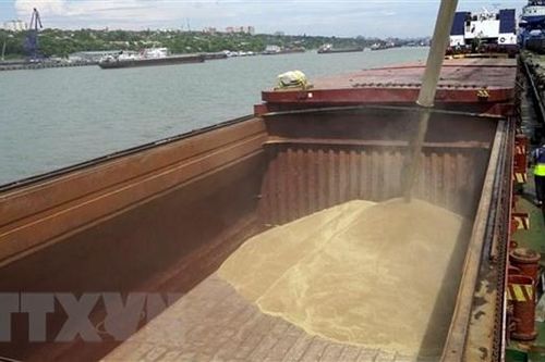 Mỹ sẵn sàng cho khả năng Nga không gia hạn Thỏa thuận Ngũ cốc Biển Đen