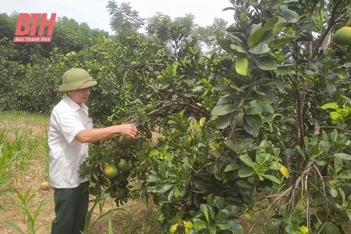 Gương sáng cựu chiến binh