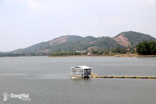 Giảm thiệt hại từ thiên tai cho ngành Nông nghiệp