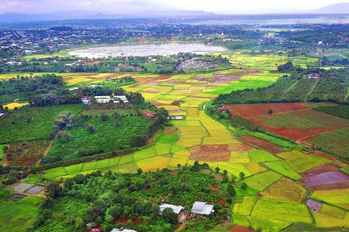 Sự tương hợp về mỹ quan và ngoại cảnh Pleiku