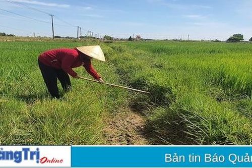 Người dân thôn Phương Ngạn mong mỏi được đầu tư kiên cố hóa kênh mương nội đồng