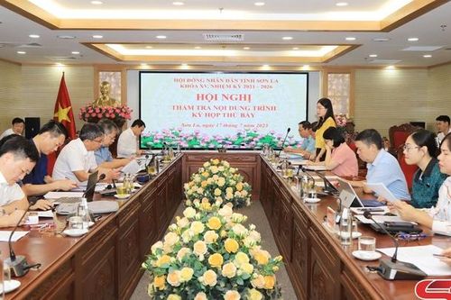 Thẩm tra các nội dung trình Kỳ họp thứ bảy, HĐND tỉnh