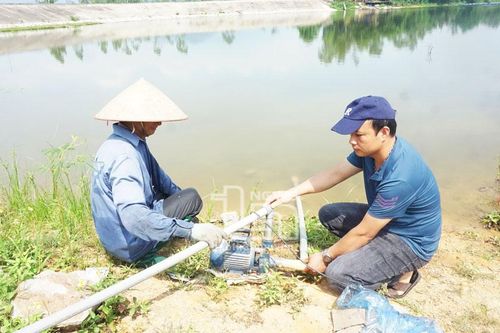Không để nắng nóng ảnh hưởng đến tiến độ sản xuất