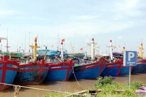 Các tỉnh Thái Bình, Nam Định chủ động ứng phó với bão số 1