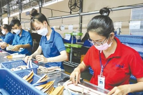 Nghệ An: Thu nội địa 6 tháng đầu năm đạt 54% dự toán năm 2023