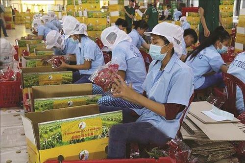 Đề nghị Australia sớm mở cửa thị trường cho nông sản Việt Nam