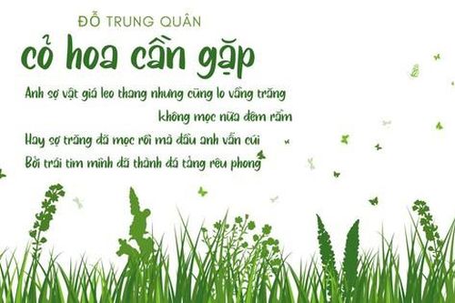 Bài thơ 'Cỏ hoa cần gặp' của Đỗ Trung Quân vào đề thi học sinh giỏi Ngữ văn lớp 11