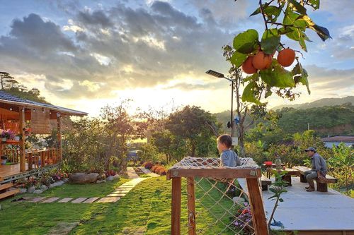 Ngôi nhà đẹp như cổ tích trên đồi ở Lâm Đồng khiến ai cũng muốn bỏ phố về quê