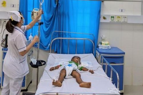 Ninh Thuận: Ăn hạt cây dầu mè, 3 trẻ em bị ngộ độc