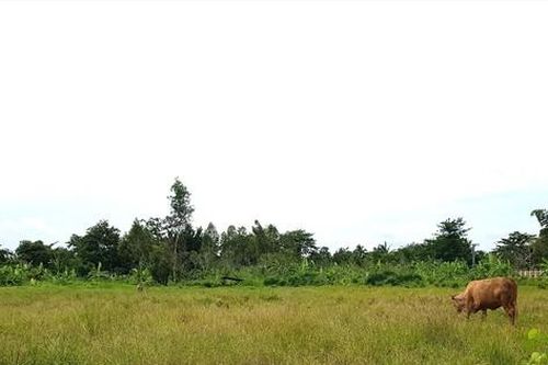 Cần Thơ: Vì sao dự án Vành đai phía Tây chậm tiến độ?