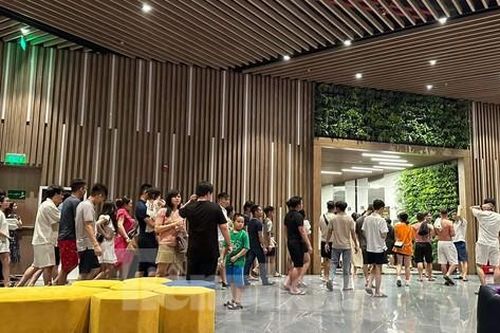 Hải Phòng cấm biển, gần 2.000 du khách kẹt tại đảo Cát Bà