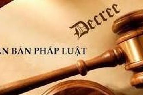 Trường hợp nào được đính chính nghị định?