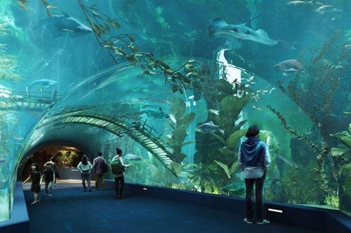 Khai trương Thủy cung Lotte World Hà Nội vào ngày 01/08