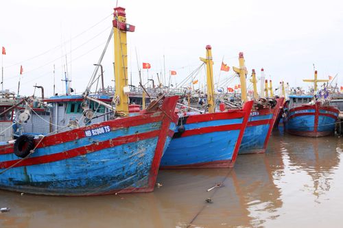 Bắc Bộ chuẩn bị đón mưa lớn sau khi bão đổ bộ vào đất liền