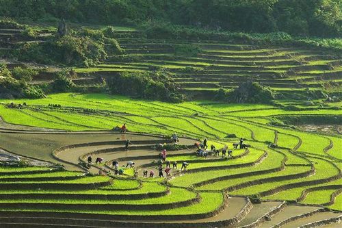 Tăng cường hợp tác du lịch giữa Sa Pa và thành phố Di Lặc
