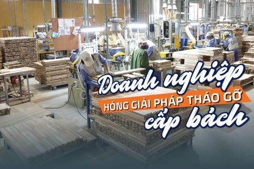 Tin tức TV: Doanh nghiệp 'hóng' giải pháp tháo gỡ cấp bách