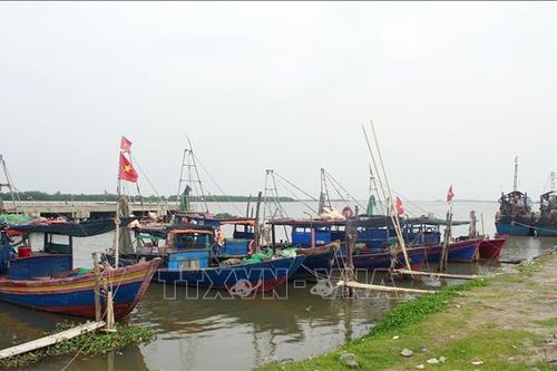 Tất cả tàu thuyền của Ninh Bình đã vào nơi tránh trú an toàn