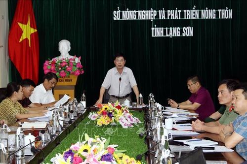 Lạng Sơn triển khai phương án đảm bảo an toàn tại các điểm có nguy cơ sạt lở, ngập úng
