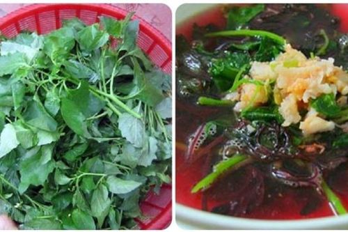 Đi chợ gặp 4 loại rau bổ hơn thịt, rẻ hơn thuốc, vừa ngon vừa bổ, nhớ mua ngay