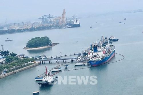 Kiểm soát chặt việc điều động tàu, thuyền đến khu neo đậu tránh, trú bão