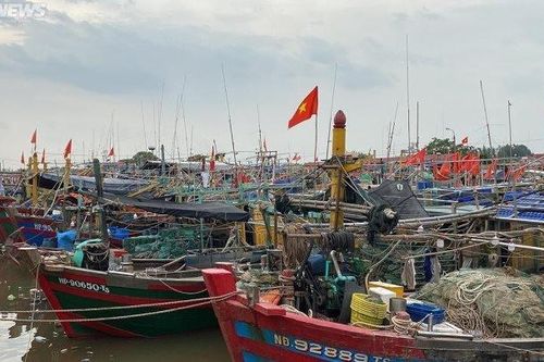 Kiểm soát chặt việc điều động tàu, thuyền đến khu neo đậu tránh, trú bão