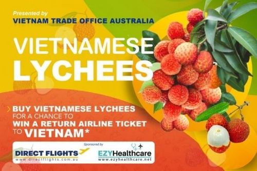 Thương vụ Việt Nam tại Australia hợp tác với các nền tảng trực tuyến xúc tiến tiêu thụ quả vải