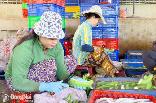 Tăng sản xuất sạch nhóm cây trồng chủ lực