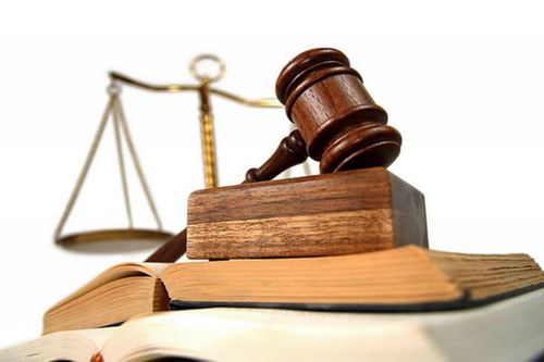 Quyền giám hộ đối với cháu nội