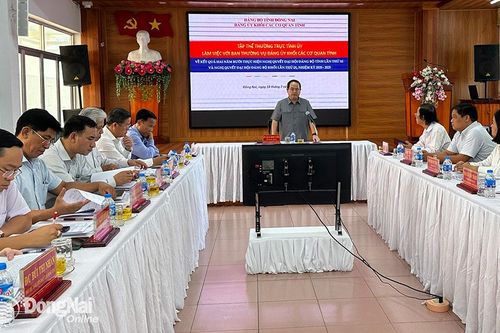 Quan tâm phát triển đảng viên mới trong các cơ quan, đơn vị