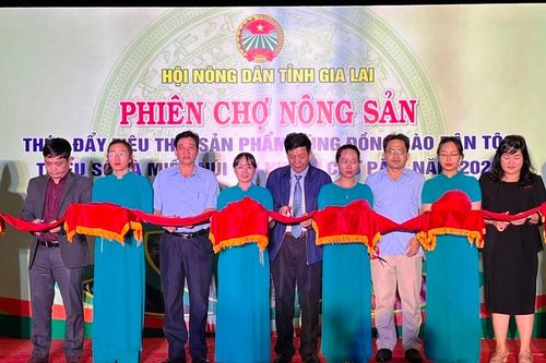 Khai mạc phiên chợ nông sản vùng đồng bào dân tộc thiểu số tại huyện Chư Păh