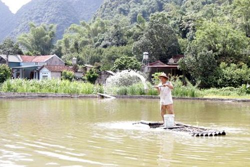 Bảo đảm an toàn nuôi trồng thủy sản trong mùa mưa bão