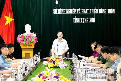 Lạng Sơn cần tiếp tục chủ động triển khai biện pháp phòng chống thiên tai