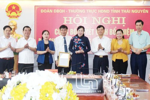 Bổ nhiệm Phó Chánh Văn phòng Đoàn đại biểu Quốc hội và HĐND tỉnh