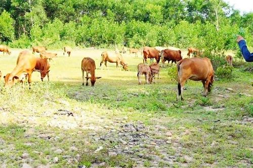 Đồng hành với thanh niên lập thân, lập nghiệp