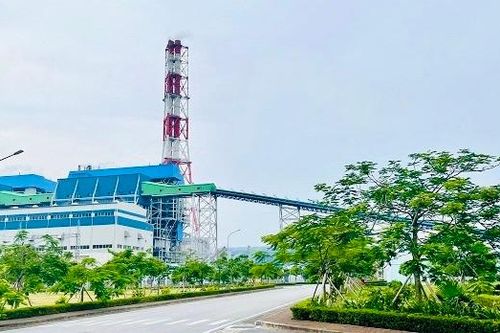 Nhiệt điện Thái Bình phát triển sản xuất kinh doanh gắn với bảo vệ môi trường