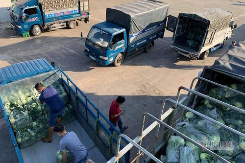 Nông sản xuất khẩu: Tăng chi phí logistics, giảm năng lực cạnh tranh