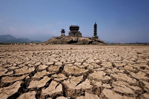 Thế giới đang trải qua một mùa nắng nóng khắc nghiệt