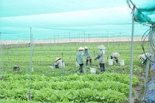 Hà Nội bứt phá xây dựng nông thôn mới