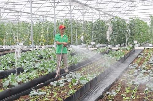 Bẻ 'gọng kìm' cản trở HTX tích tụ ruộng đất