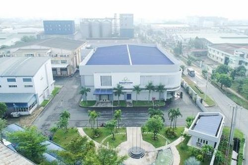 Cổ phiếu IMP lên mức cao nhất trong một năm sau khi báo lãi kỷ lục