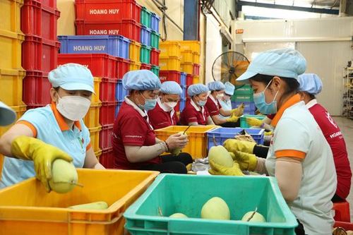 Nhiều cảnh báo về hàng hóa nông sản tại thị trường xuất khẩu