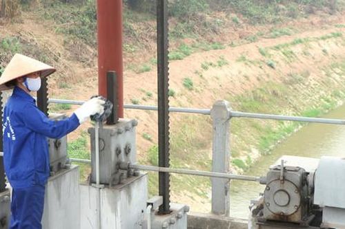 Giảm nỗi lo sự cố cống dưới đê