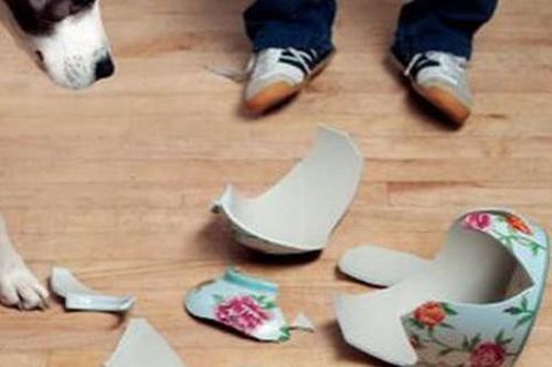 Mùng 1 kiêng ăn các món ăn sau và kiêng làm những điều sau