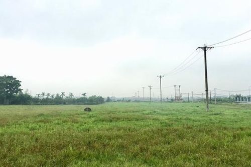 Hà Nội: Cưỡng chế thu hồi đất xây dựng cụm công nghiệp tại huyện Phúc Thọ