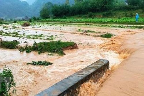 Ngày 19/7, nhiều khu vực mưa lớn, đề phòng ngập úng, lũ quét, sạt lở