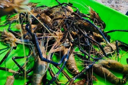 Tăng cường phối hợp, đảm bảo an toàn thực phẩm