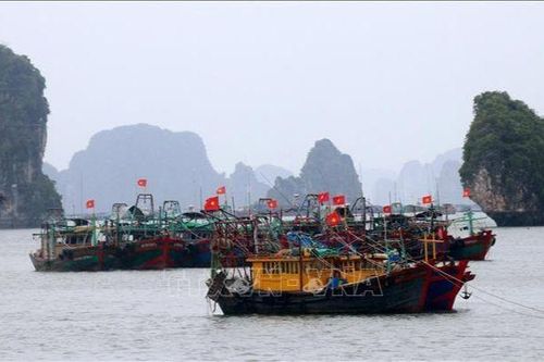 Đề phòng mưa lớn, nguy cơ lũ quét, sạt lở đất do hoàn lưu bão số 1