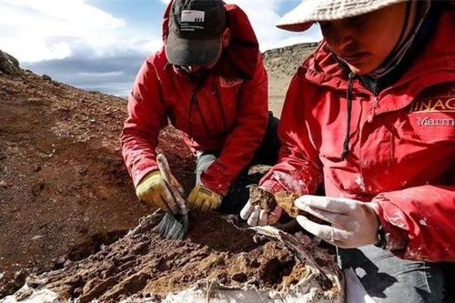 Quái thú 1 tấn 'trên trời rơi xuống', giới khoa học bối rối