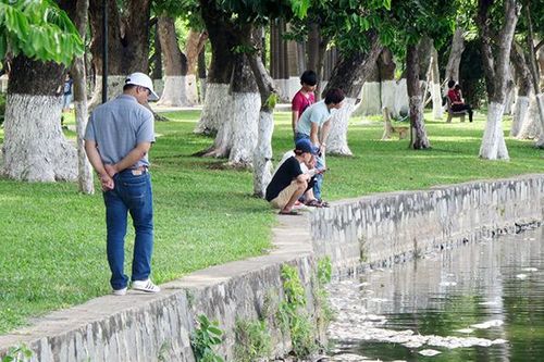Đà Nẵng duyệt gần 1.100 tỷ đồng đầu tư công viên, trung tâm hành chính